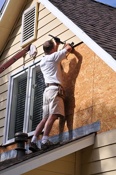 Best Shed Removal  in East Renton Highlands, WA